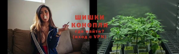 мдпв Няндома