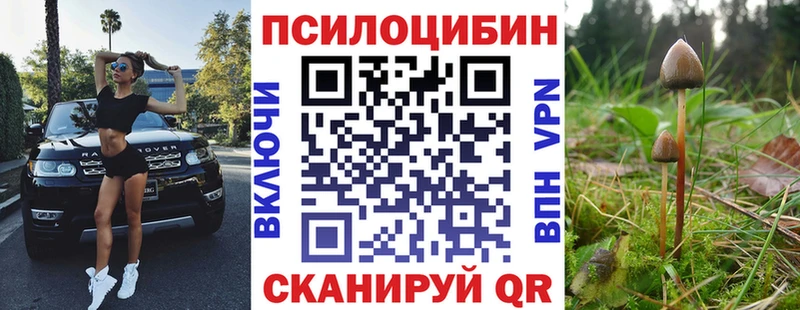 Галлюциногенные грибы прущие грибы  Абдулино 